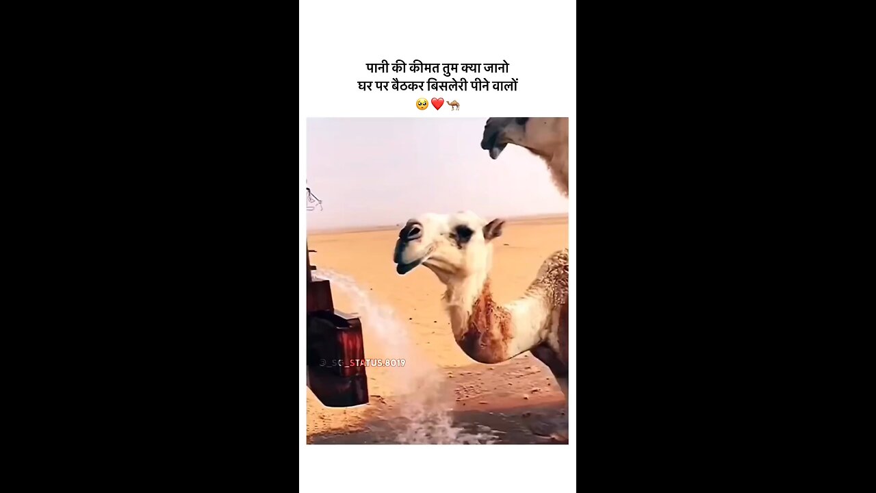 बहुत दिन बाद पानी को देखने की खुशी देख रहे हो🥹🥺💧