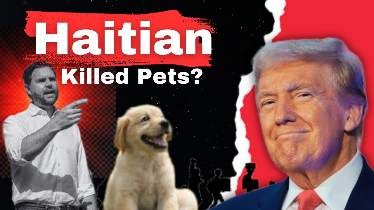 Haitian killed Pets? | WhoIsThisMan