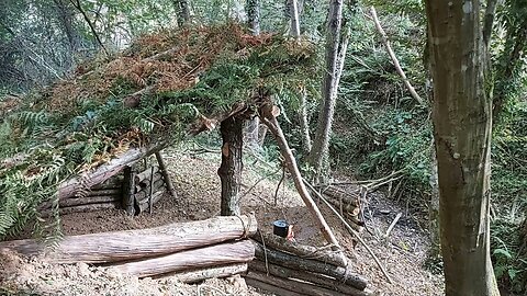 Wild Camping in Mountain Forest - Survival Shelter, Camp Cooking, Asmr, Diy
