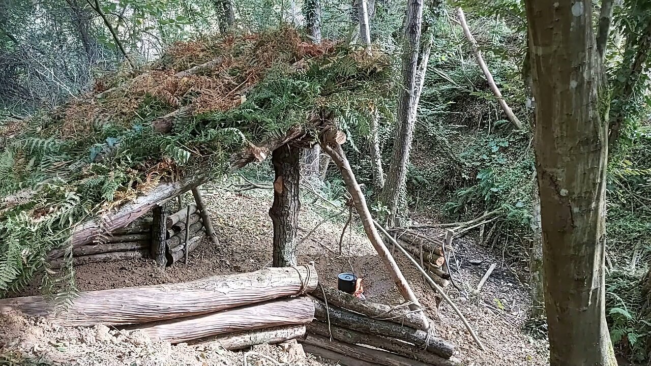Wild Camping in Mountain Forest - Survival Shelter, Camp Cooking, Asmr, Diy