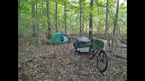 Ist stealth camp Dear Viewers