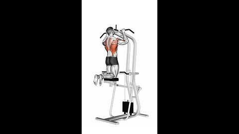 Assisted Pull up Exercise.