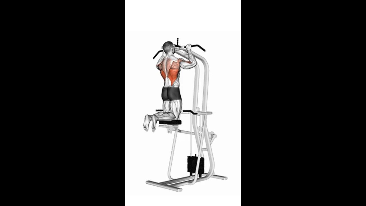 Assisted Pull up Exercise.