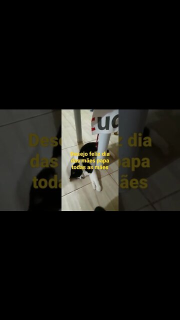 desejo um feliz dia das mães