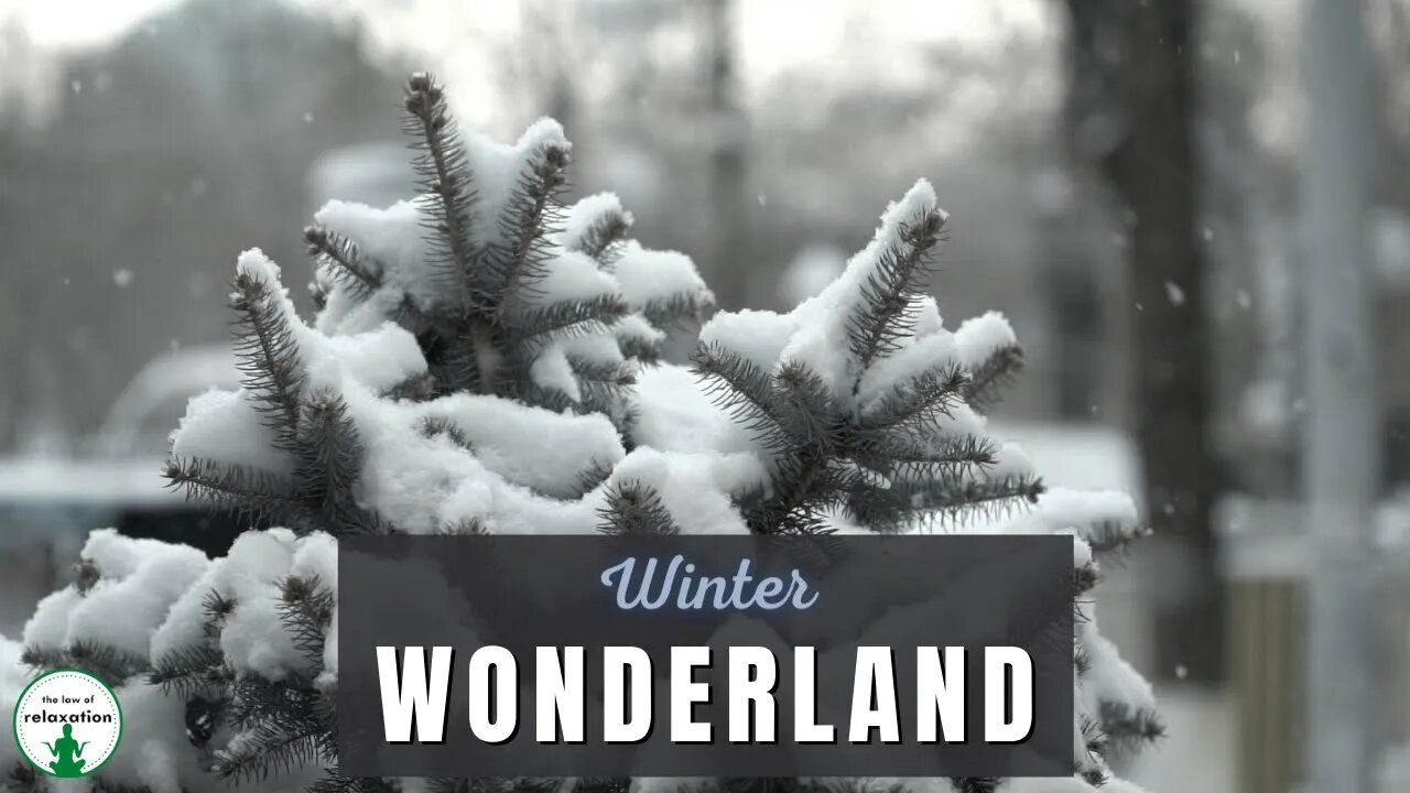 Peaceful Winter Wonderland Music | Relaxing Music