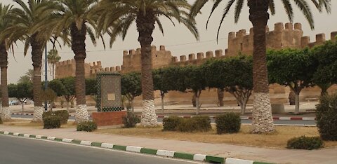 Maroc .taroudannt city big cup tea