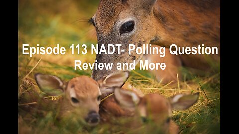 Episode 113 NADT- Polling Questions Review and More