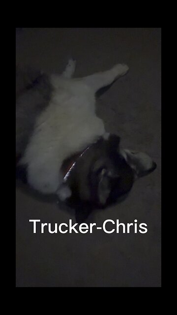 I always feel like…..