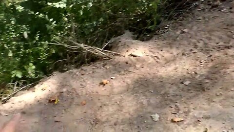 The road coming into the property is looking much better showing you how it looks.