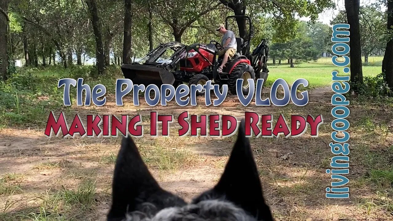 Living Cooper - Property VLOG - Making It Shed Ready