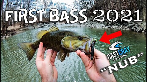 The first bass bite of 2021 (Caught a BUNCH!!!)