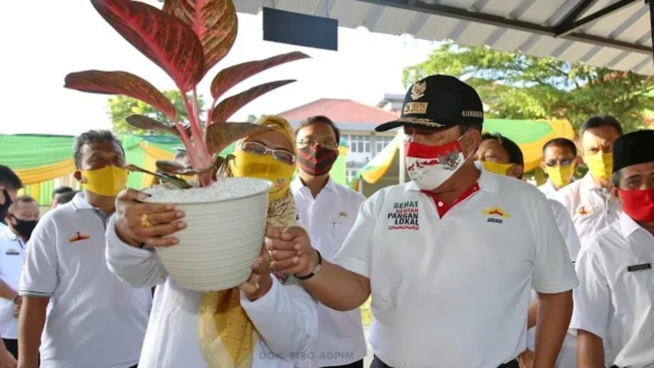 Gubernur Arinal Suka dengan Tanaman, Kunjungi Stand Aglaonema