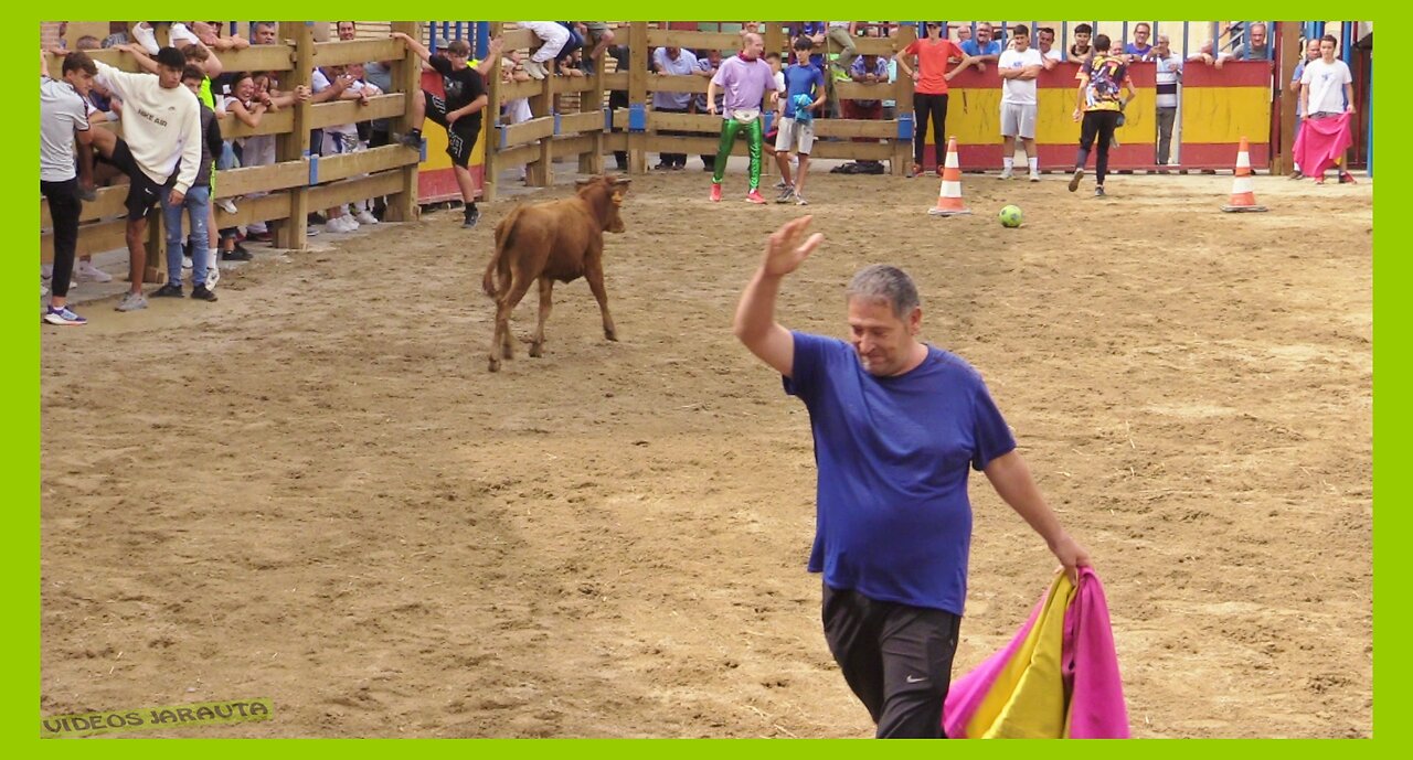 MALÓN ( ZARAGOZA ) MATINAL BECERROS EN PLAZA ( SABADO 16 SEPTIEMBRE 2023 ) GANAD.HNOS.GRACIA