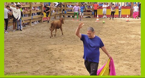 MALÓN ( ZARAGOZA ) MATINAL BECERROS EN PLAZA ( SABADO 16 SEPTIEMBRE 2023 ) GANAD.HNOS.GRACIA