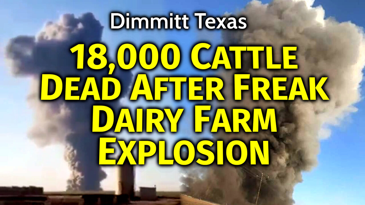 18,000 Cattle BLOWN UP In Freak Dairy Farm Explosion: Food Supply UP IN SMOKE PLUME