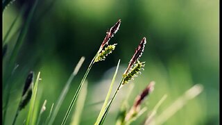 Steve Roach ~ Quiet Friend