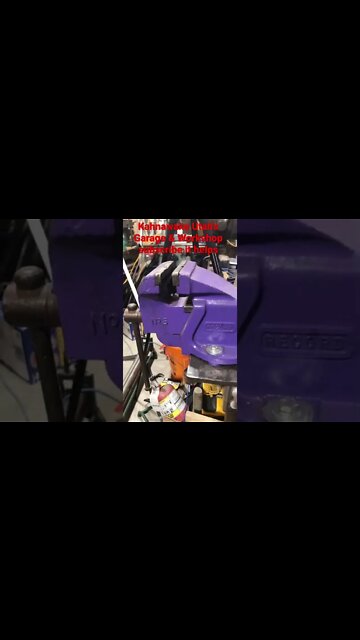 Record No. 5 Vise - #shorts