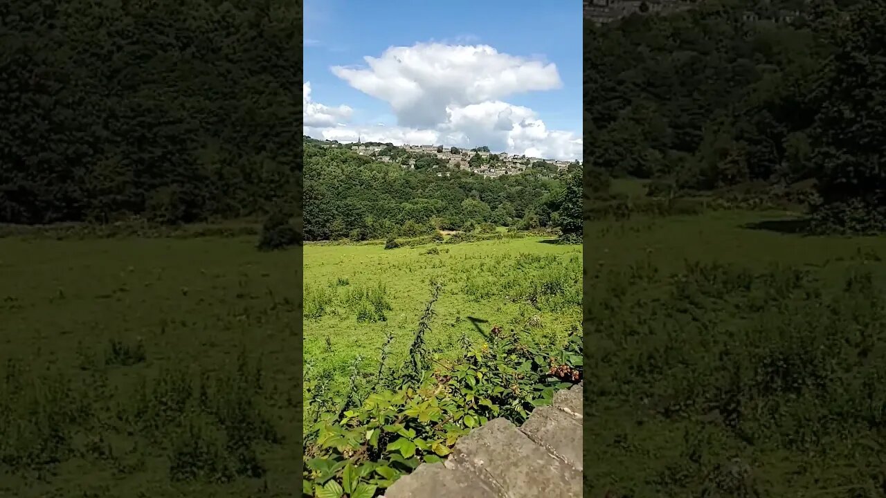 Sunny Day #yorkshire #nature #uk #travel #sun