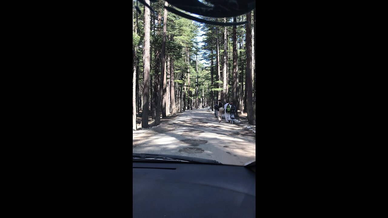 Kalam ushu forest pakistan