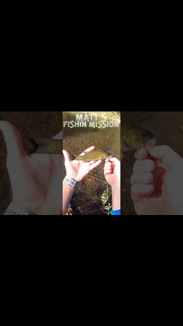 Biking for bass (short version)