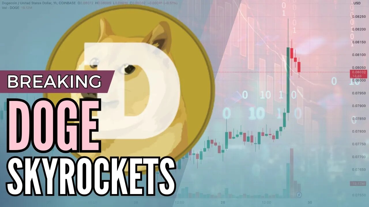 Elon Musk Sent DOGE to the Moon 🌖