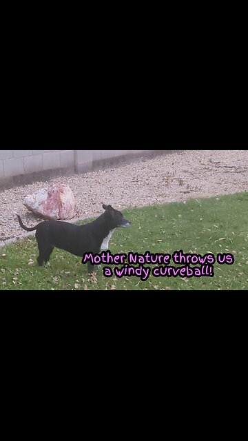 Mother Nature throws us a windy curveball!