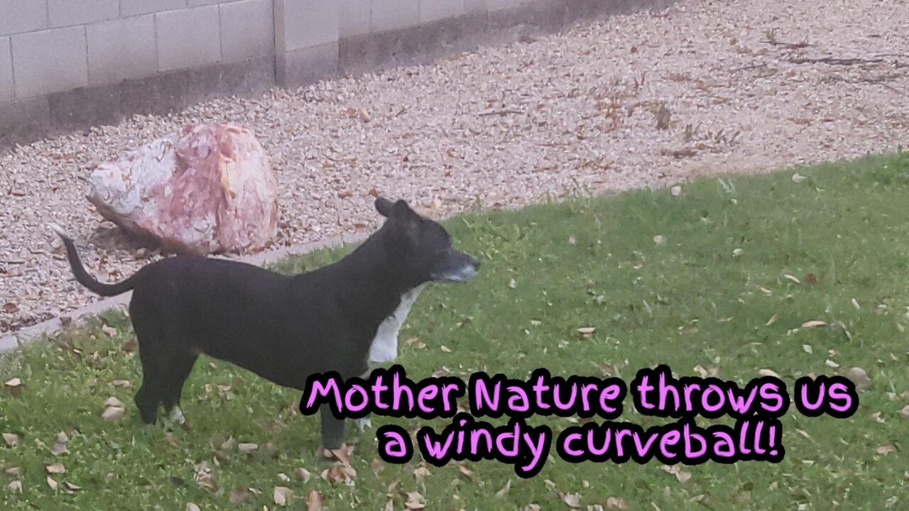 Mother Nature throws us a windy curveball!