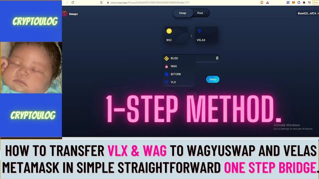 How To Transfer VLX & Wag To Wagyuswap And Velas Metamask In Simple Straightforward One Step Bridge.