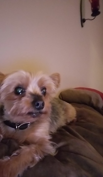 Don't even think about it!