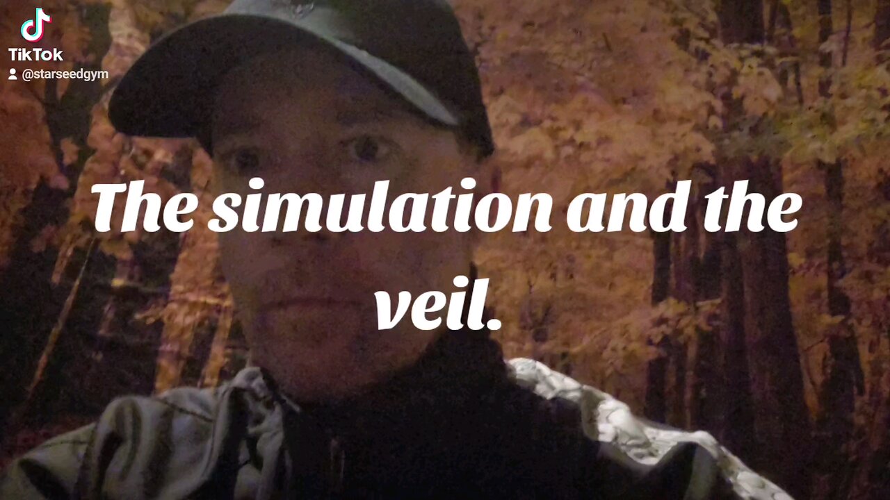 The simulation and the veil.