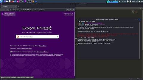 run django website on tor with django-tor
