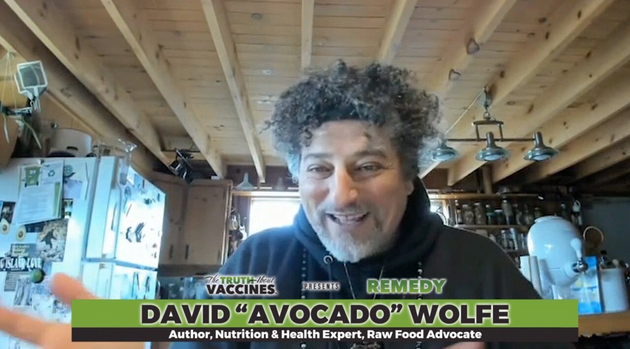 The Truth About Vaccines Presents: REMEDY – David “Avocado” Wolfe Discusses Sources of Shikimic Acid