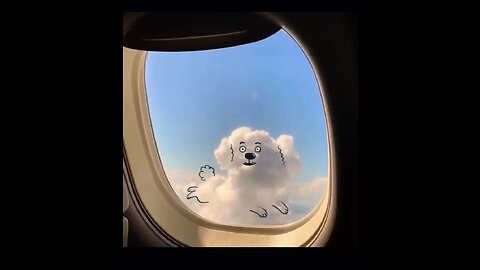 Clouds in the Shape of Animals 😍