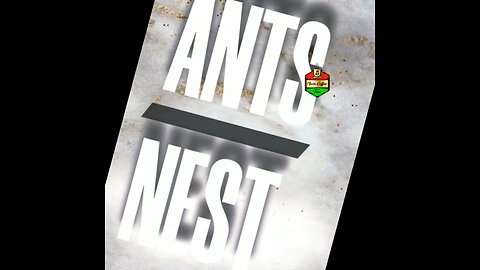 Ants Nest Intro 🔥