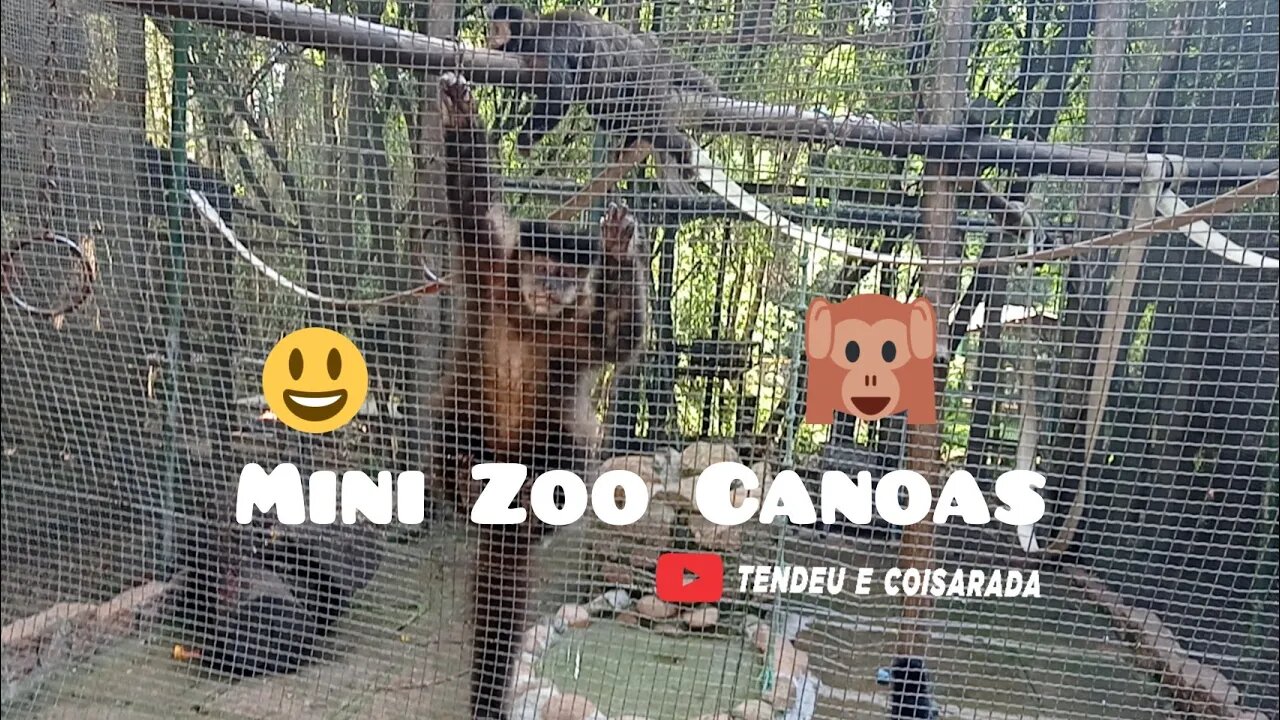 Mini zoo do Parque Getúlio Vargas ou Capão do Corvo Canoas/RS #minizoocanoas #capaodocorvo #canoasrs