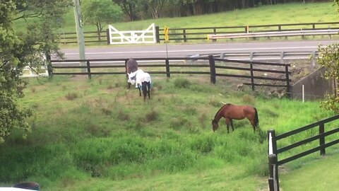 The girls drinking water from the creek part II