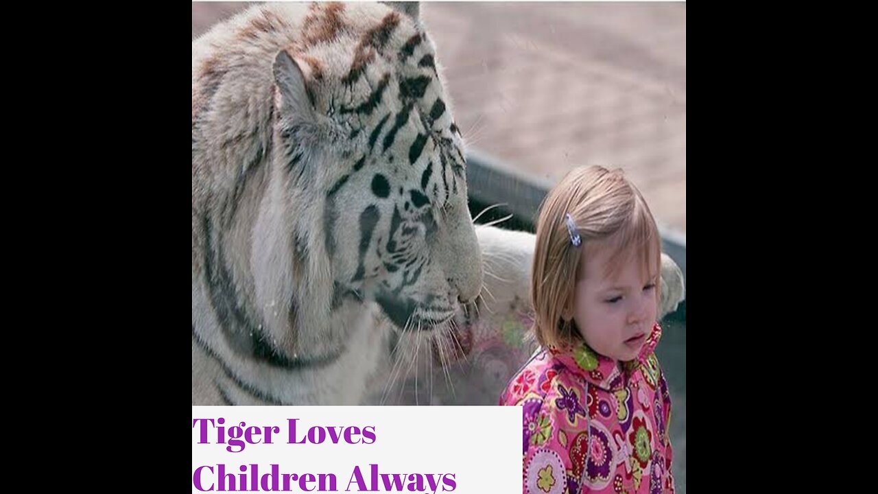 Animals Love Childern Always But Kids No Fair Anyone