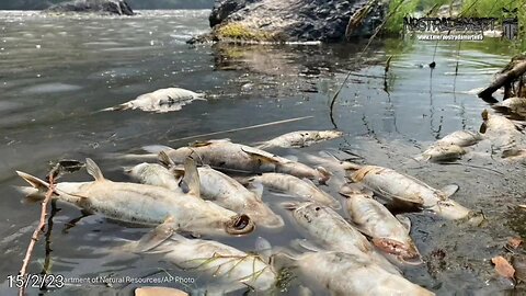 WATCH THE WATER #4(Extrait NostradaNews 112)
