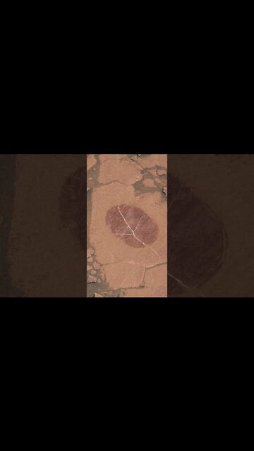 Som ET - 59 - Mars - Curiosity Sol 1819 #Shorts