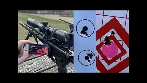 HOW is this SO ACCURATE? Bolt-action accuracy out of an AR-22! BoreBuddy Apogee Match 22lr Barrel