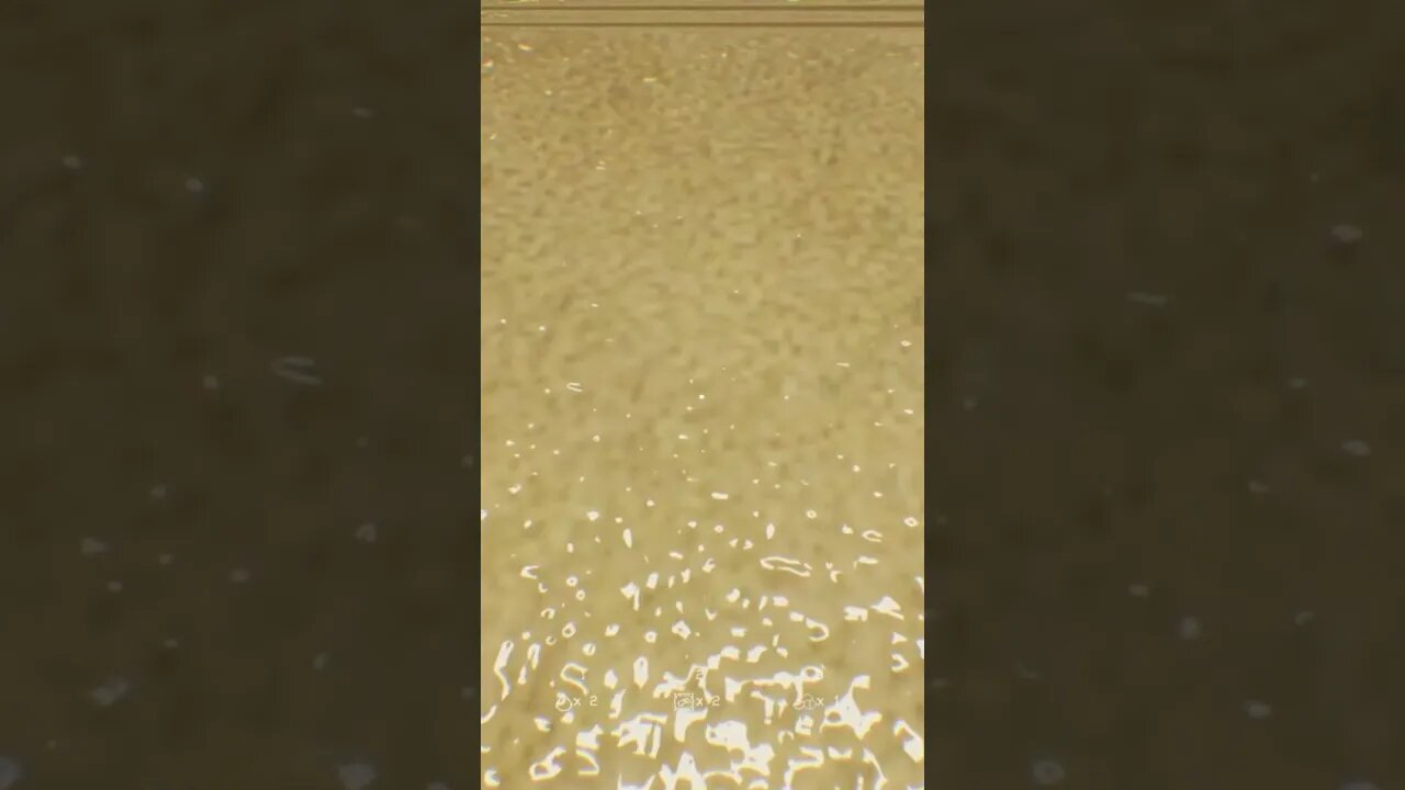 Don’t Drink the Carpet Water…