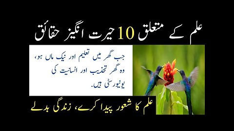 10 Surprising Facts About Knowledge In Urdu