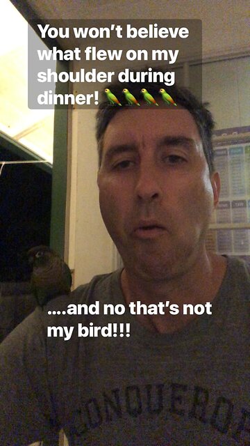 Surprise visit? Roll with it