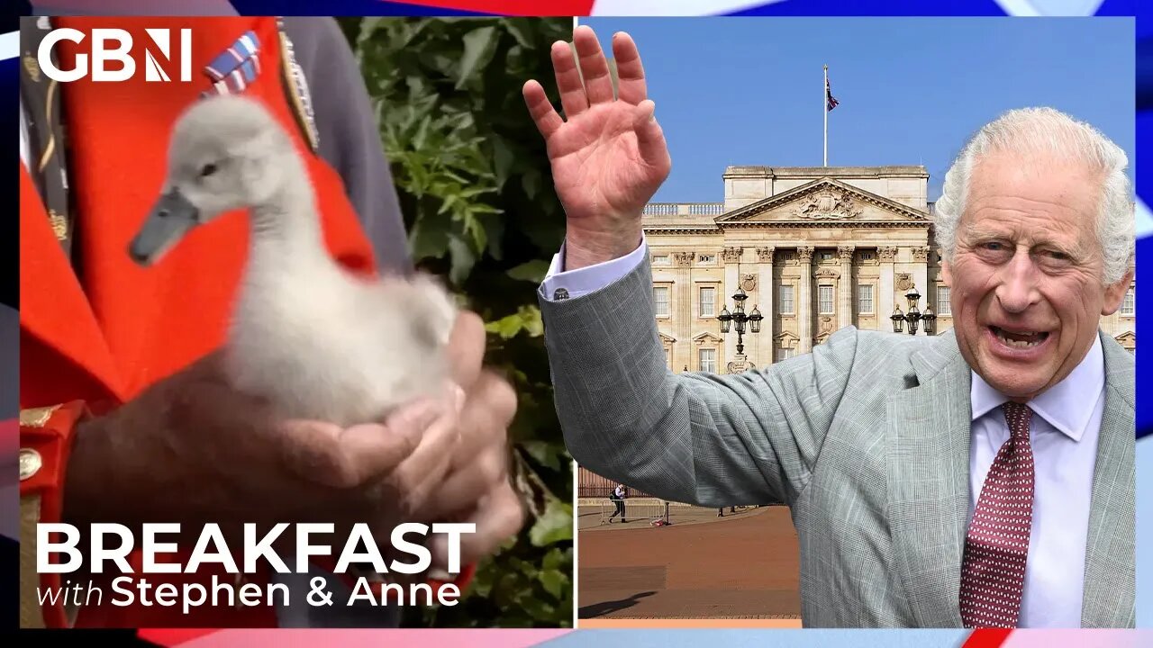 King Charles continues swan upping tradition with right to own unmarked swans | Cameron Walker