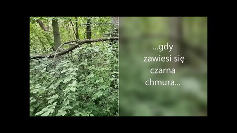 gdy zawiesi się czarna chmura ... Anna Budzik