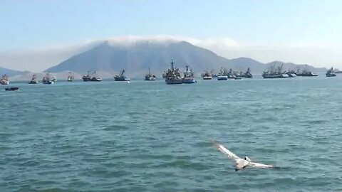 Lugar Turístico: Muelle Municipal - 27 de Octubre - Chimbote - Perú