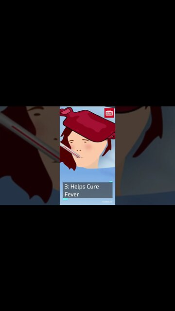 Cassava Leaves Health Benefits #shorts