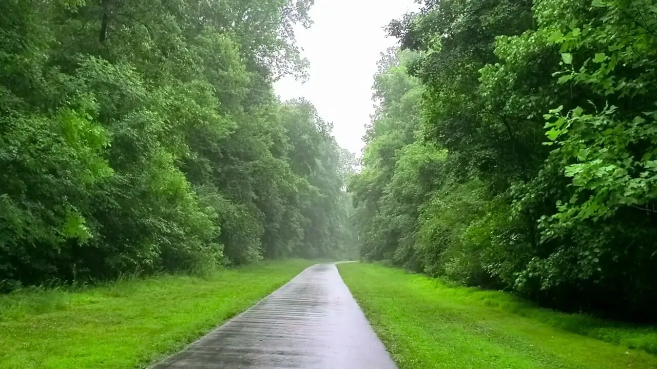 The sound of rain without thunder. For good sleep, relaxation and meditation