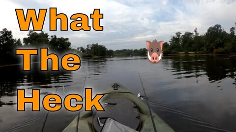 Kayak Fishing for Wild Hogs