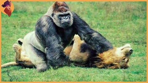 15 Most Powerful African Animals